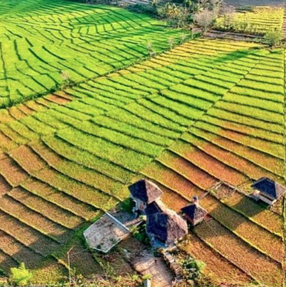 Tado Homestay Limbung 外观 照片